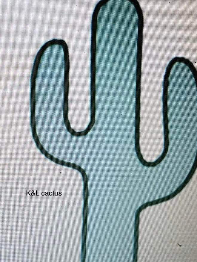 Cactus
