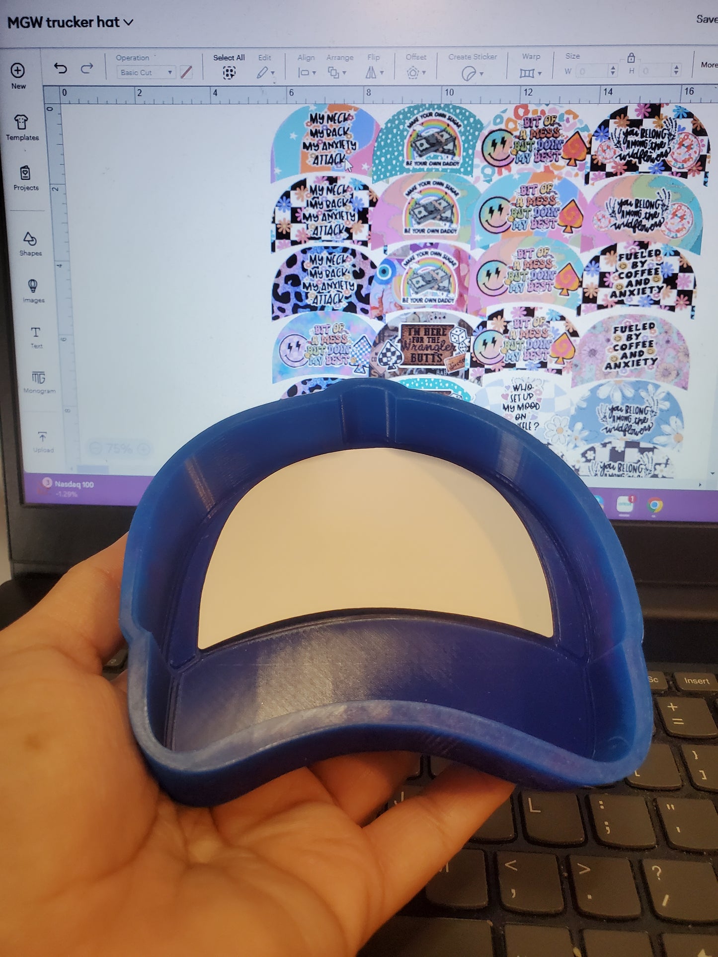 Baseball Cap / Trucker hat
