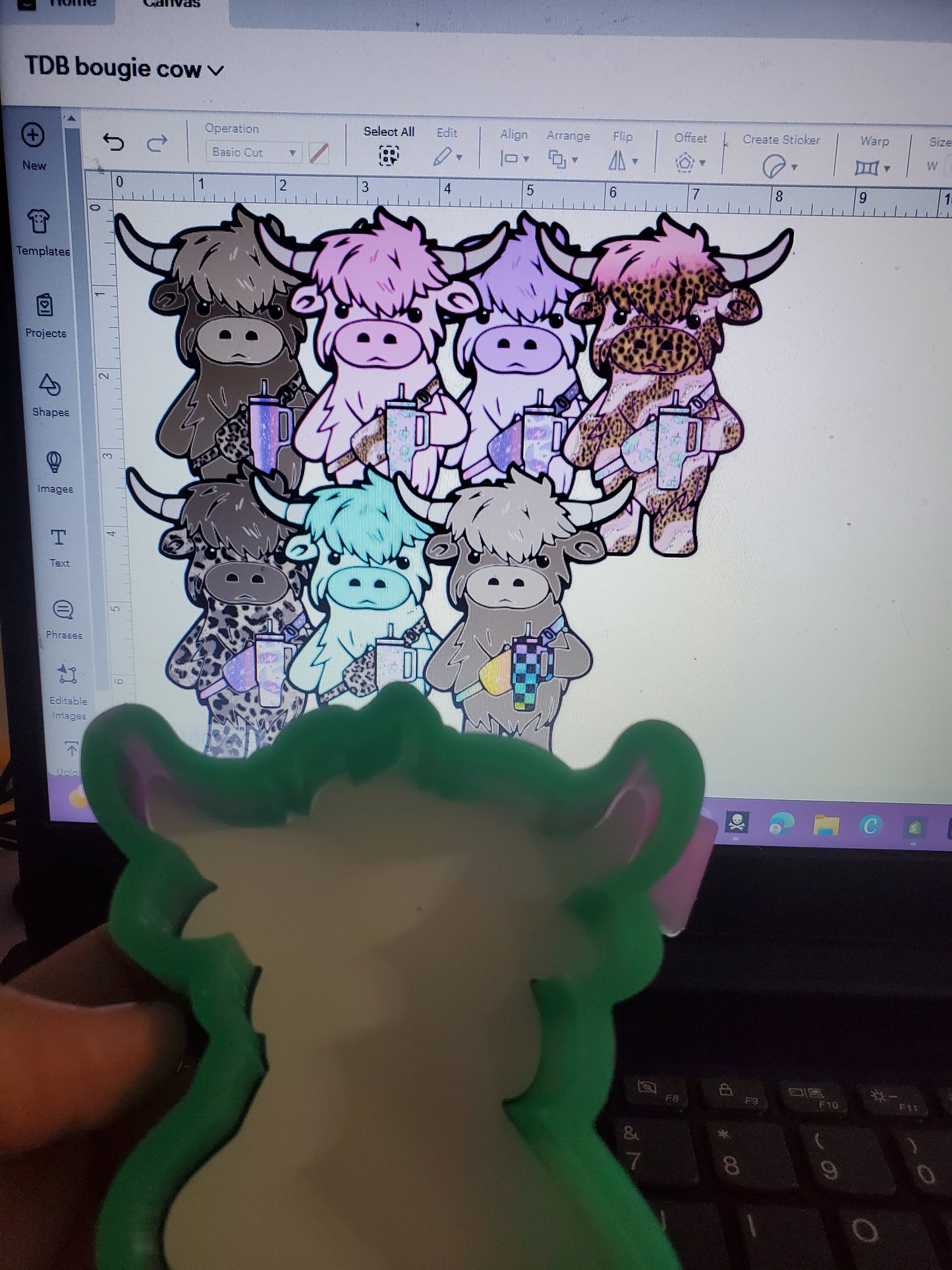 Boujee / Bougie Highland Cow