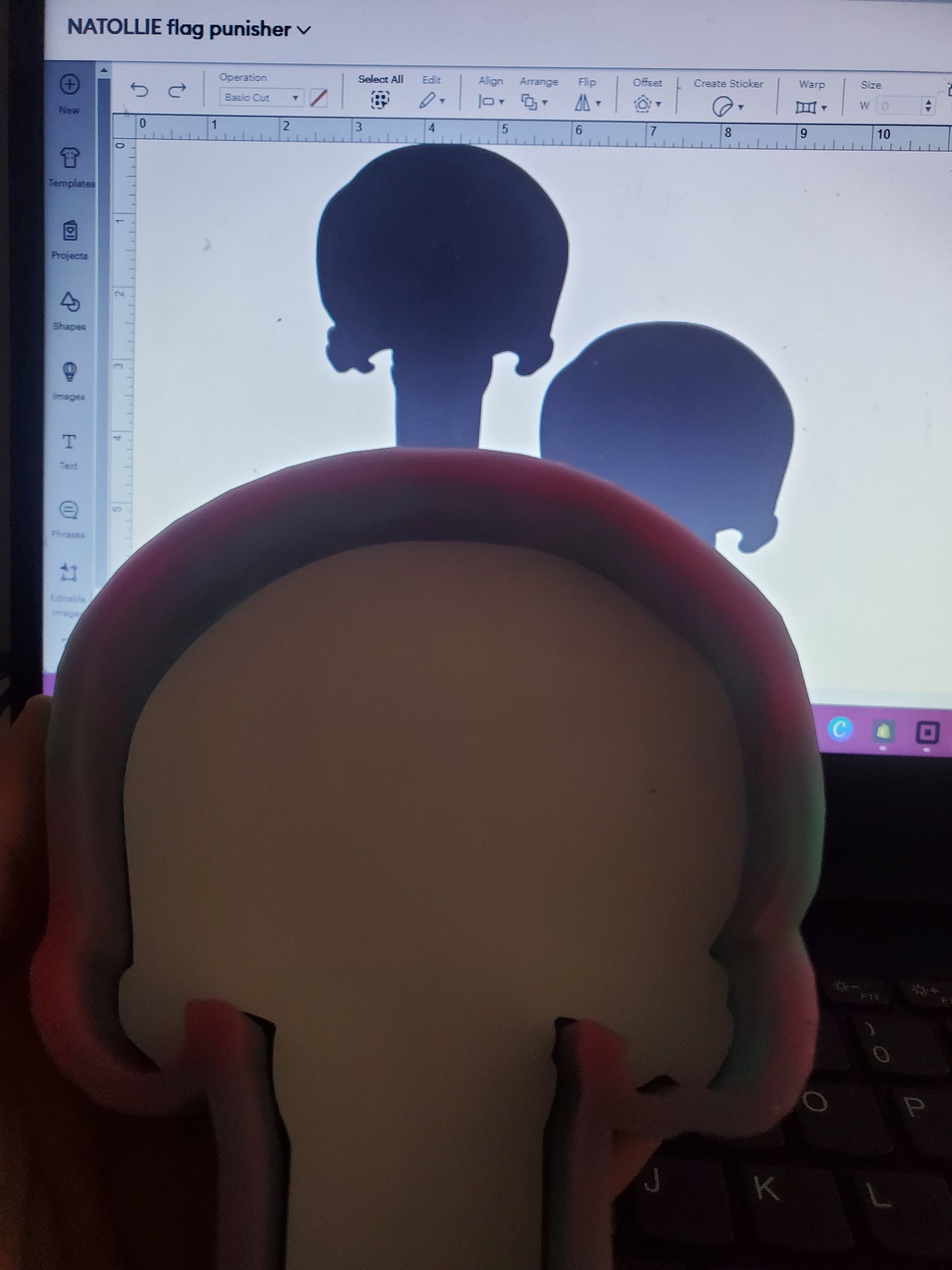 Flag Punisher