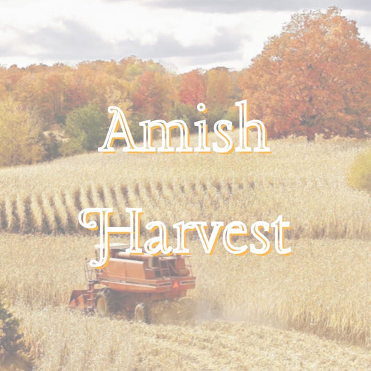 Amish Harvest Pre-Scented Beads