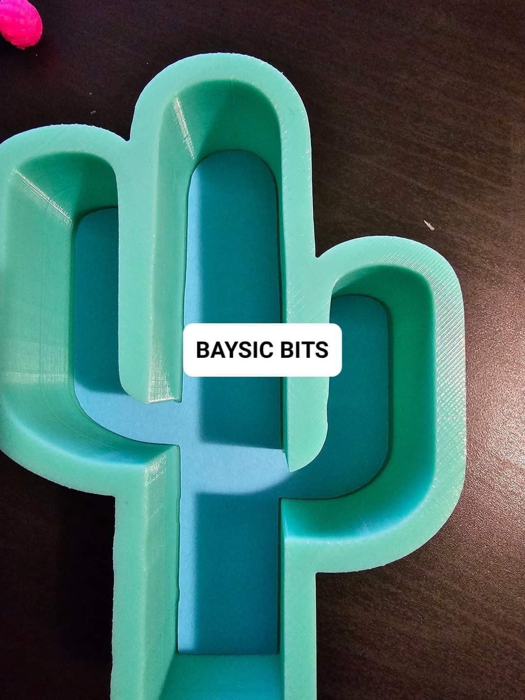 Cactus