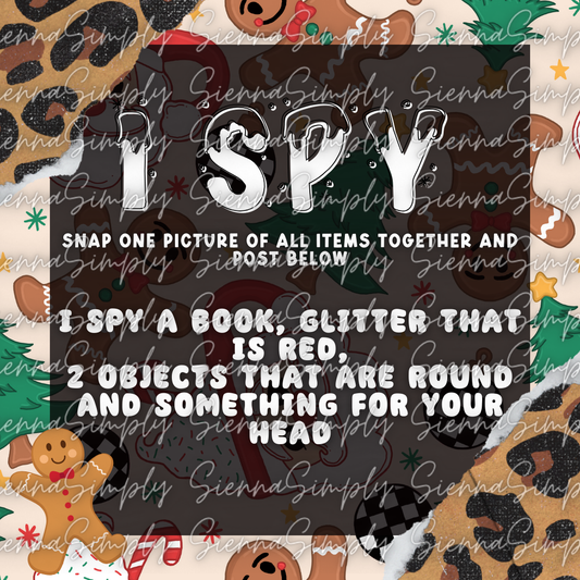 Leopard Santa I Spy Game