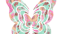 Groovy Butterfly
