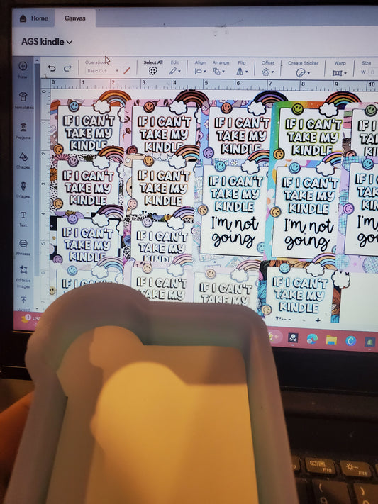 If I Cant Take My Kindle