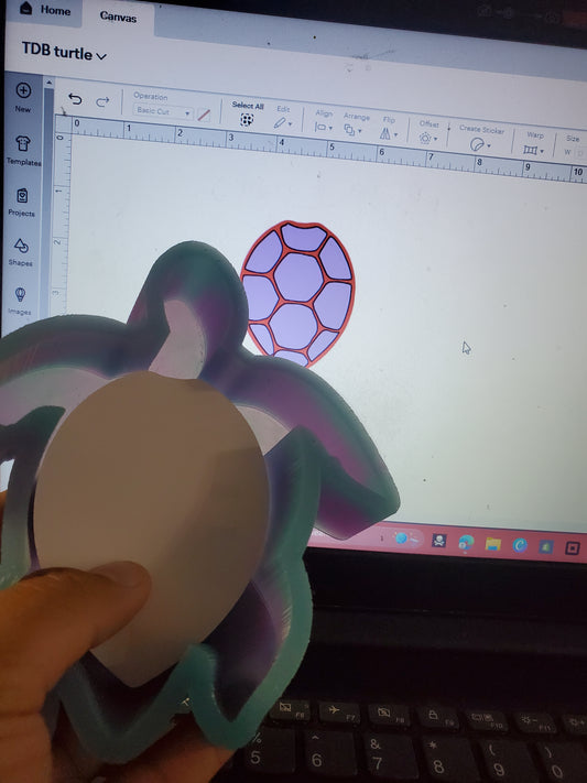 Turtle