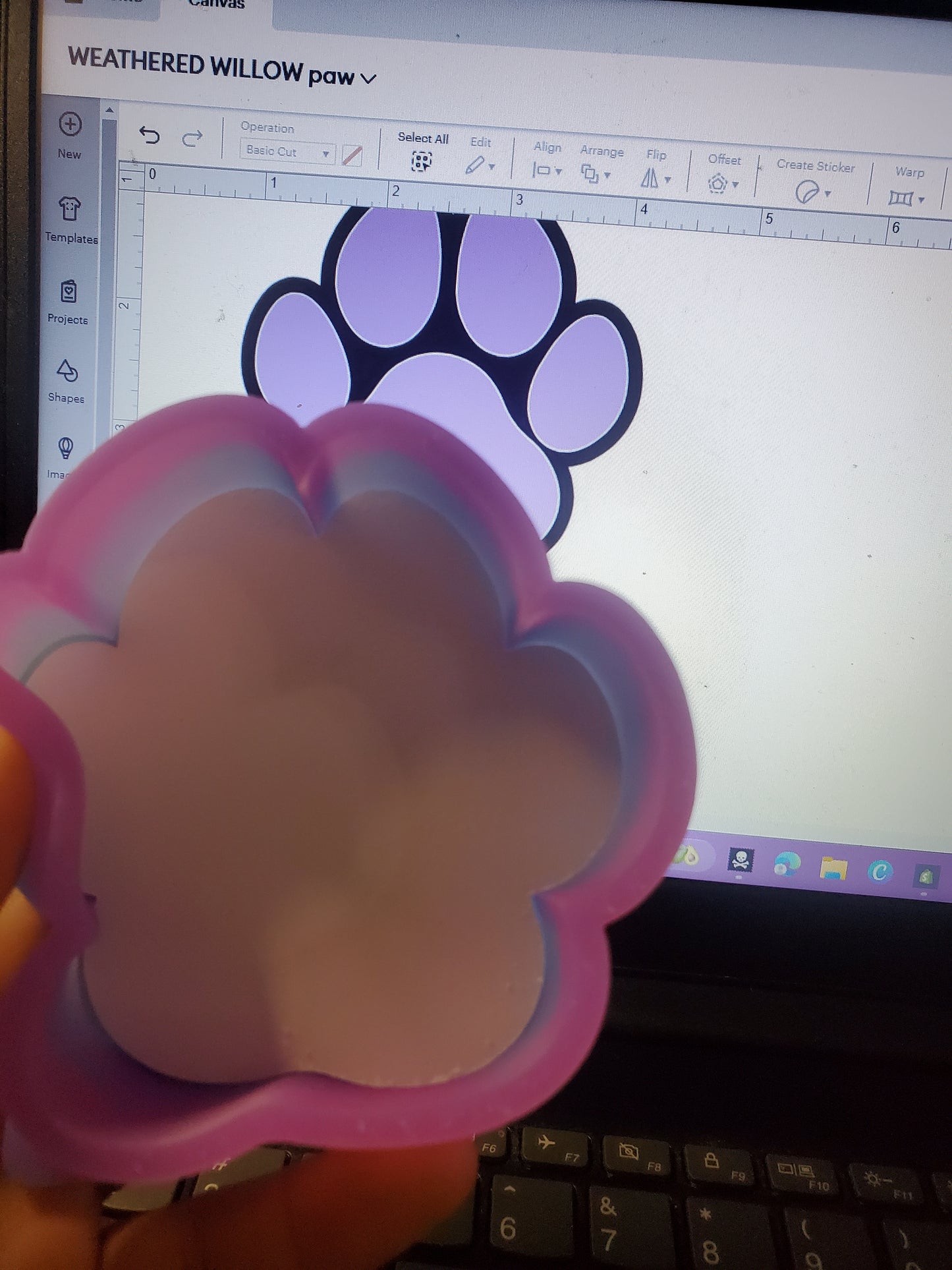 Paw Print