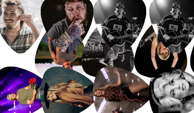 Guitar Pick